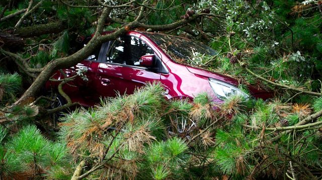 Innalillahi Wainna Ilaihi Rojiun: Anggota DPR Gus Alam Meninggal Dunia Akibat Kecelakaan di Tol Pemalang