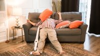 Ketika Rubah Tertidur Pulas di Sofa Luar Rumah: Apa yang Harus Dilakukan?