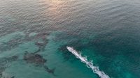 #ViralInPhysics: Mungkinkah Berjalan di Atas Air dengan Kecepatan yang Tepat?