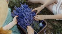 Lavender Girl Summer 2025: Tren Soft Life yang Menyegarkan Jiwa