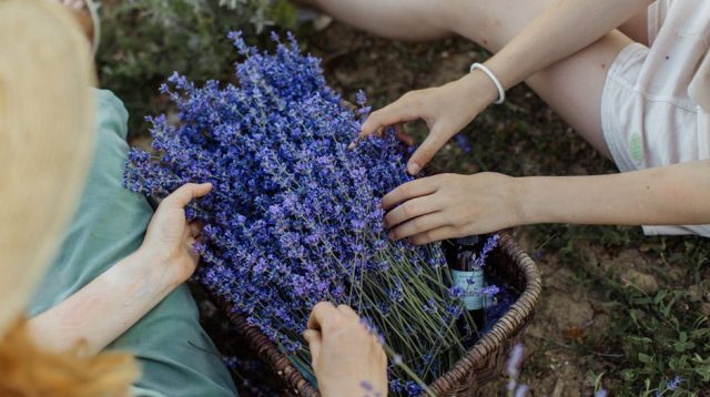 Lavender Girl Summer 2025: Tren Soft Life yang Menyegarkan Jiwa