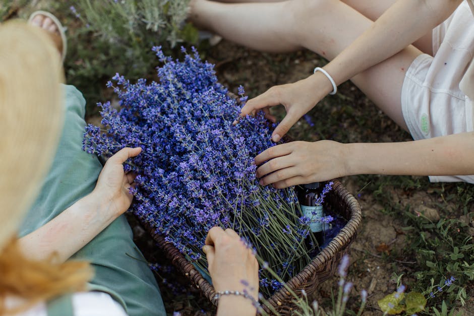 Lavender Girl Summer 2025: Tren Soft Life yang Menyegarkan Jiwa