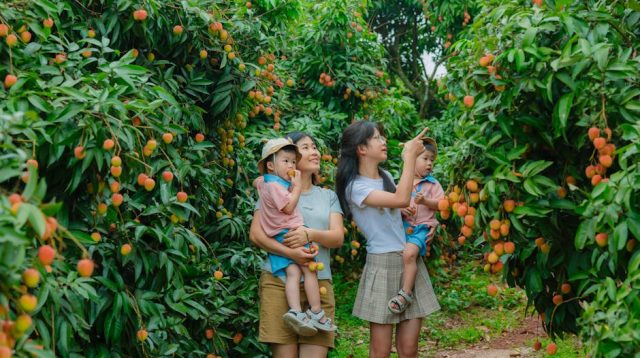 Setiap Hari adalah Hari Ayah: Ungkapan Syukur Tak Terhingga