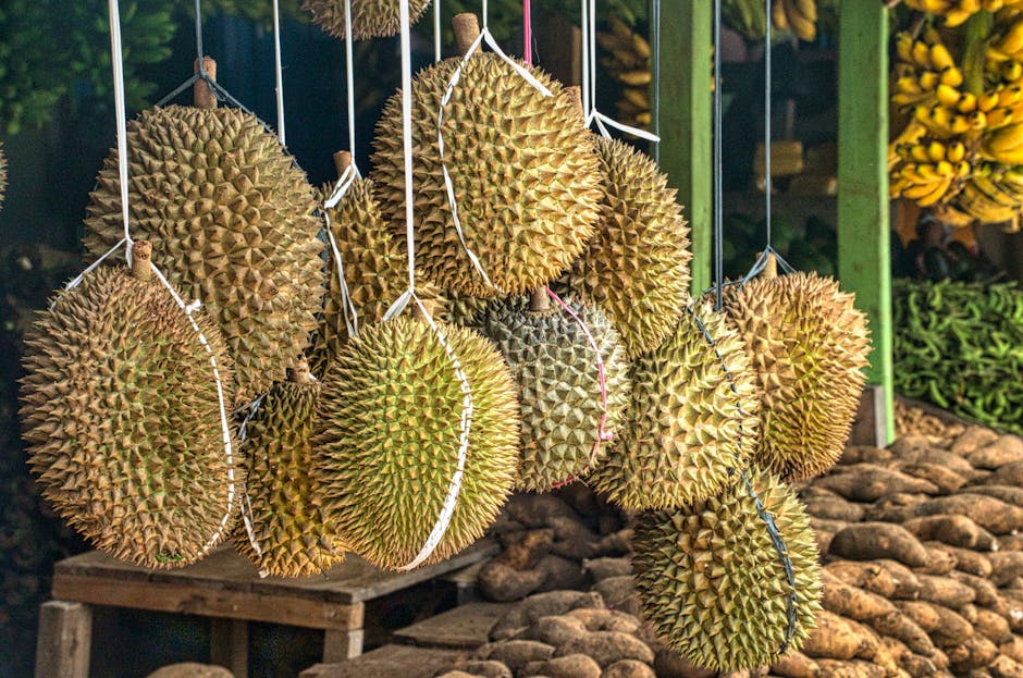 Dari Sampah Jadi Sedap: Kebangkitan Lezat Makanan Upcycled di Indonesia